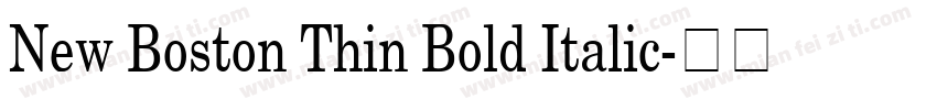 New Boston Thin Bold Italic字体转换